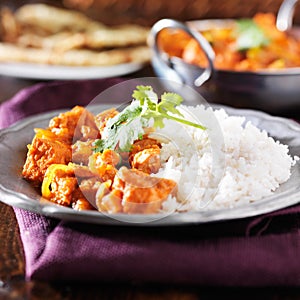 Indian chicken vindaloo curry photo