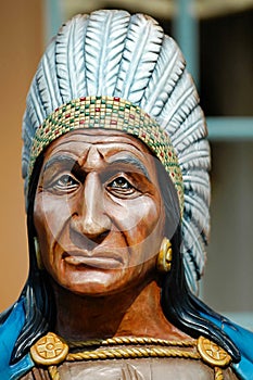 The Indian Chief