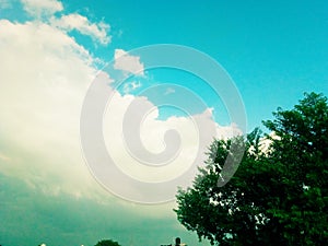 Indian clouds with tree beautiful image