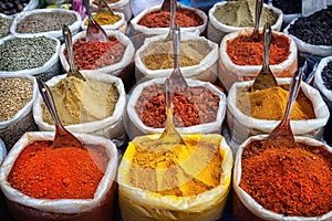 Indian colorful spices photo