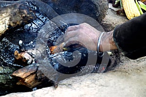 Indian Corn bhutta being cooked on burning wood