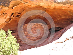 Indian corn cereal storage