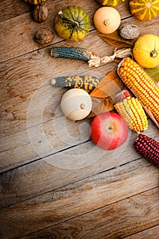 Indian corn, corn, apple and pumpkin