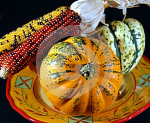 Indian corn and gourds