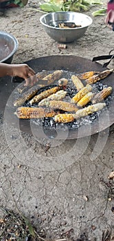 Indian corn image indian food