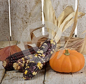 Indian Corn And Pumpkin