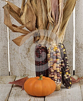 Indian Corn And Pumpkin