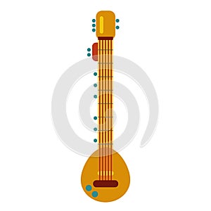 Indian culture musical string instrument sitar