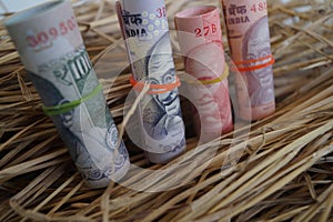 Indian currency notes with grass as background selective focus