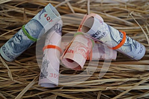 Indian currency notes with grass as background selective focus
