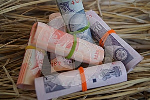 Indian currency notes with grass as background selective focus