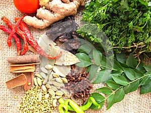 Indian Curry Spices