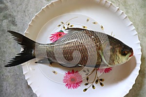 Indian delicious fish katla, horizontal top view photo