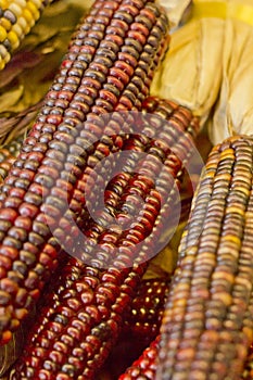 Indian Dried Corn