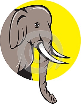 Indian Elephant Head Cartoon