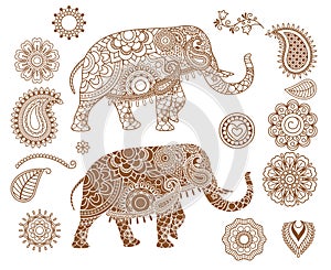 Indian elephant with mehendi patterns