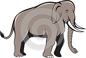 Indian Elephant Side View Cartoon