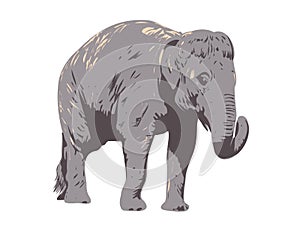Indian Elephant Side View Isolated Background WPA Art