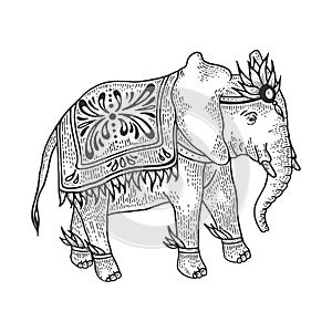 Indian elephant sketch engraving vector