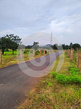 an indian empty road in between green crop fields