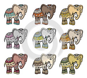 Indian ethnic elephant vector set