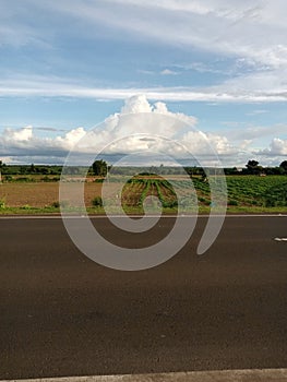 Indian Farm With Road With Skyview photo