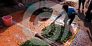 An indian farmer arranging vegetable at street shop