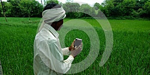 An indian farmer capturing picture of wheat grain grass