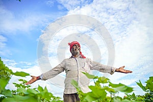 Indian farmer at cotton field