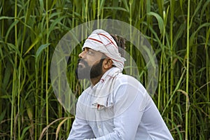 Indian farmer sitting in front of fodder field