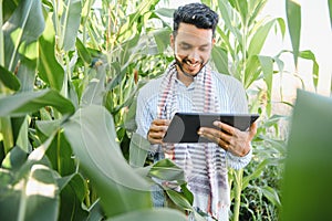 Indian farmer using tablet at agriculture field. An agronomist inspects the corn crop.