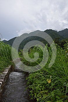 Indian  farming in Hill area scenario with mountain