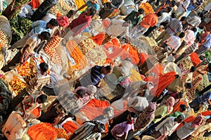 Indian flowers street market