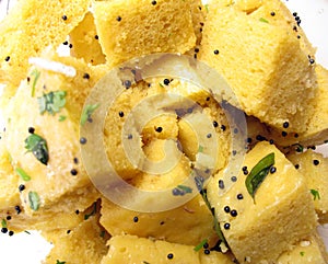 Indian Food Dhokla