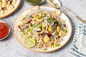 Indian food Sabudana Khichhichdi serves in festival seasons.