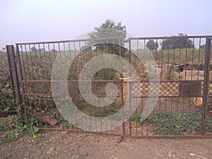 Indian gate in farm