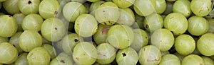 Indian gooseberry Amla Background. Green Healthy Food