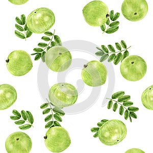 Indian gooseberry fruits amla hand drawn watercolor illustration. Seamless pattern.