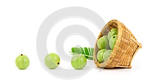 Indian Gooseberry or Phyllanthus emblica fruits and green leaves isolated on white background