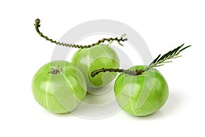 Indian Gooseberry or Phyllanthus emblica fruits isolated on white background