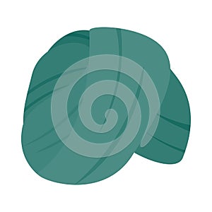 Indian Headgear Turban icon, isometric 3d style