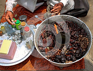 Indian herbalist