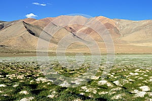 The Indian Himalaya - Karakorum mountains range - Tso Kar Lake