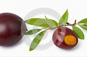 Indian hog plum (Amra), herbal medicine isolated on white background