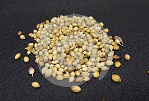 Indian kitchen, food ingredient coriander seeds