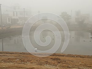 Indian locality covered under fog.