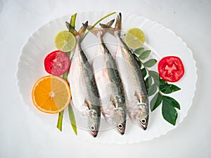 Indian Mackerel Fish Decorated with herbs and Vegetables on a white plate