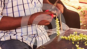 Indian Man Hands Compose Jasmine Flower Garland