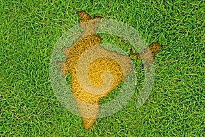 Indian map on grass