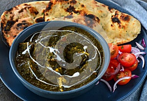 Indian meal-Palak Paneer served with roti and salad photo